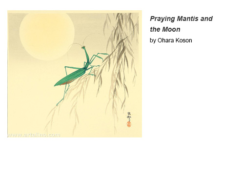 Praying Mantis and the Moon by Ohara Koson