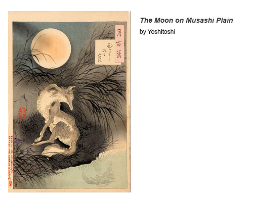 The Moon on Musashi Plain by Yoshitoshi